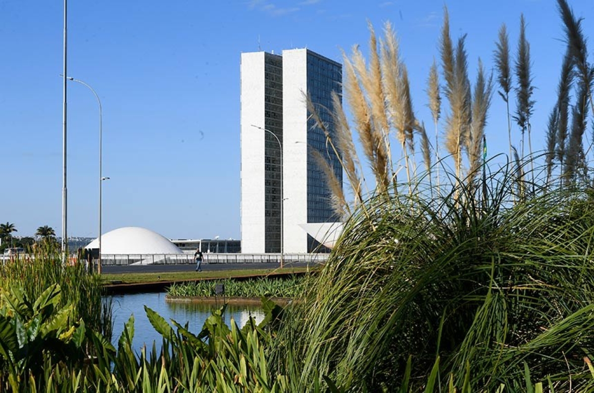 Senado aprova medida provisória que beneficia pacientes de câncer (Foto: Marcos Oliveira/ Agência Senado)