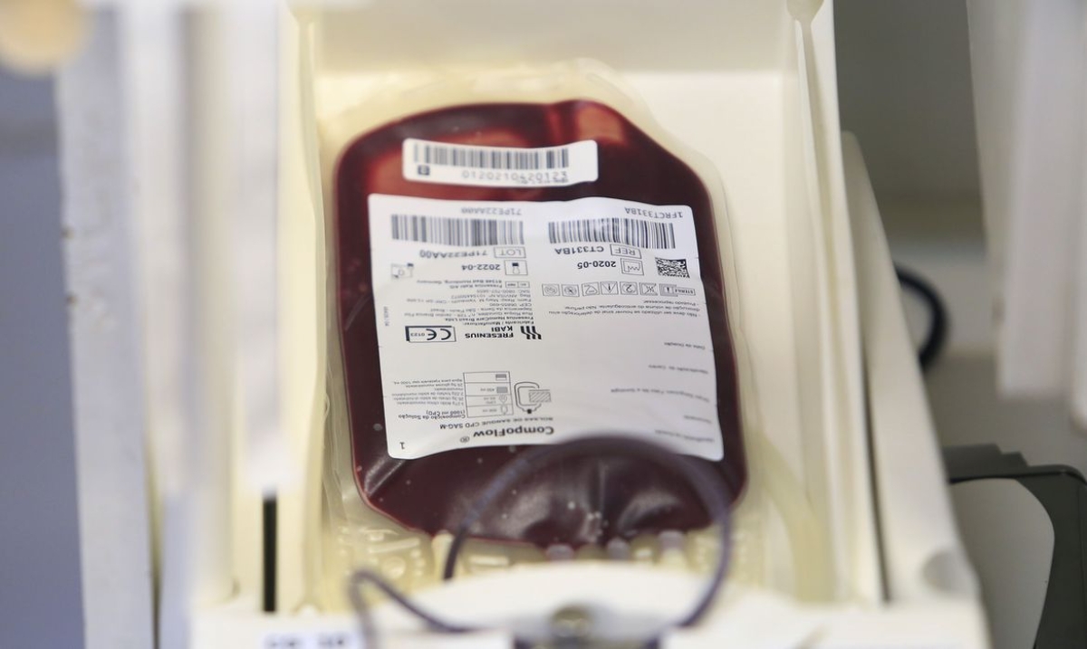 Pessoas participam de campanha de doação de sangue (Foto: Davidyson Damasceno/ Agência Brasília)