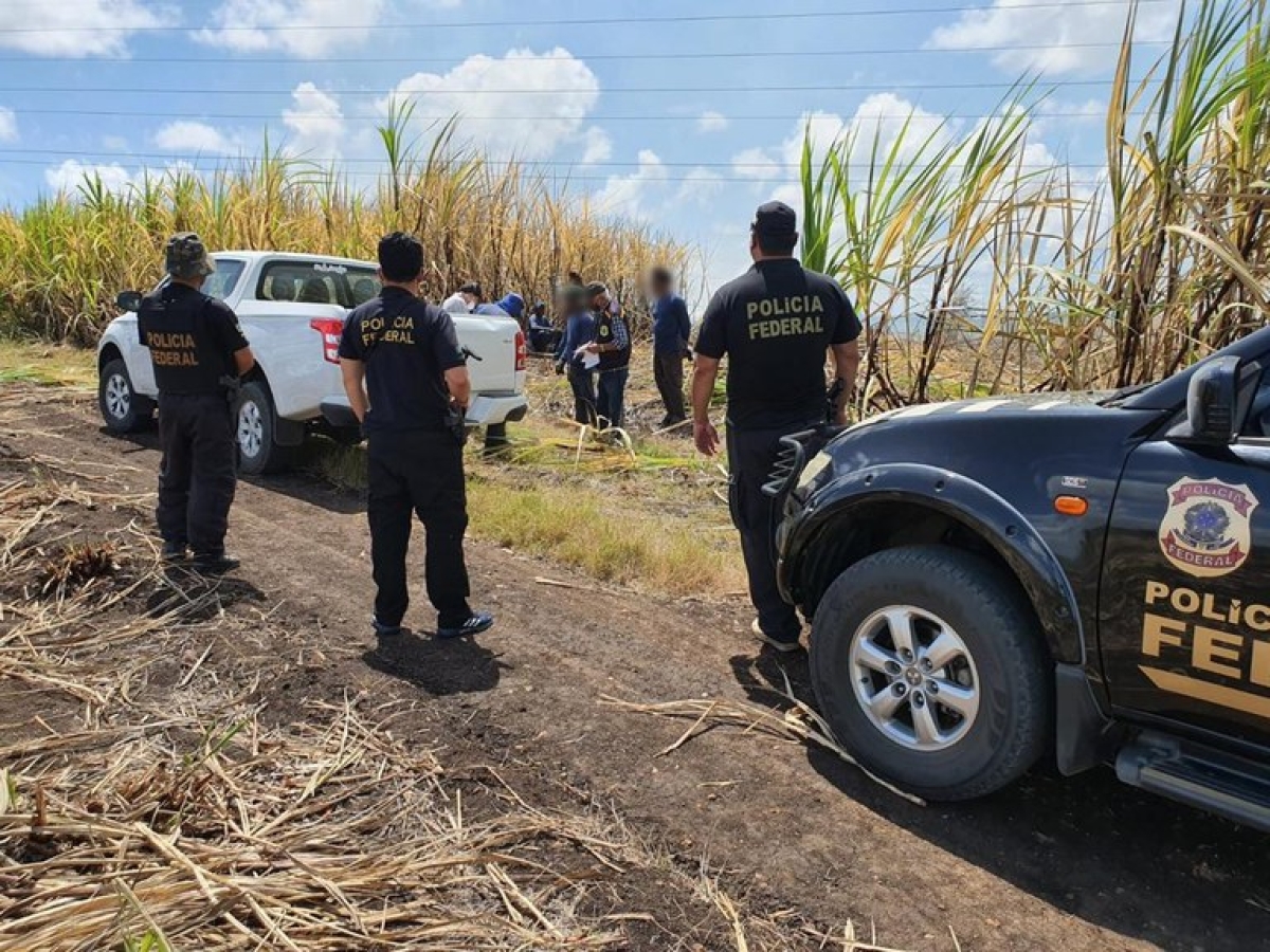 Polícia Federal deflagra operação para combate ao crime de redução a condição análoga à de escravo (Foto: Polícia Federal | gov.br)