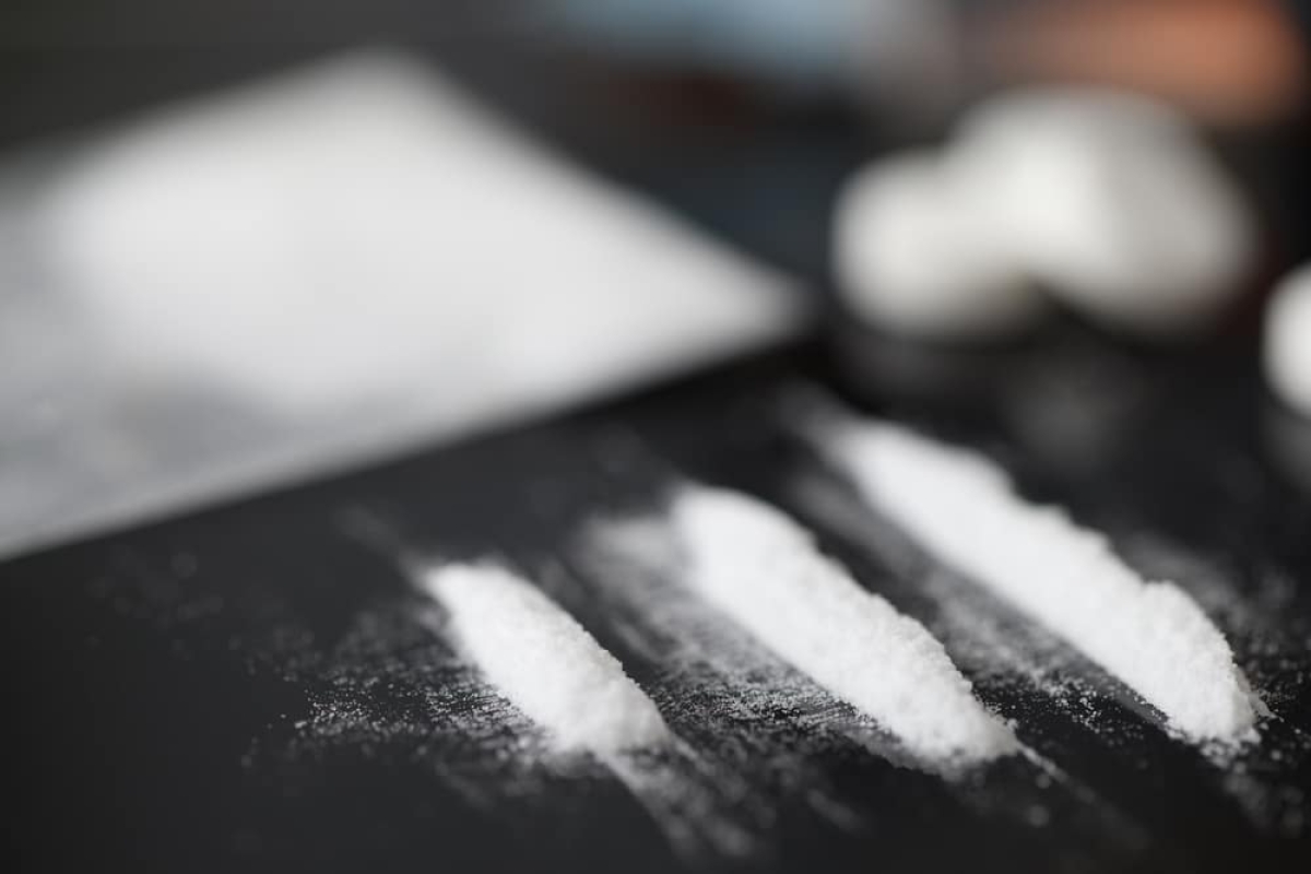 Cocaína que matou 24 na Argentina tinha anestésico para elefantes (Foto: Olhar Digital)