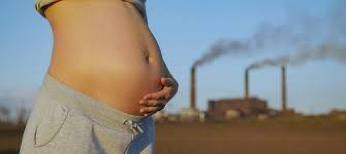 Covid-19 pode destruir placenta e causar a morte de fetos (Foto: Olhar Digital)