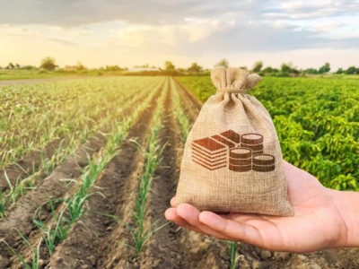 Faese acompanha votação do Projeto de Lei sobre equalização das operações de crédito rural (Foto: Ministério da Agricultura)
