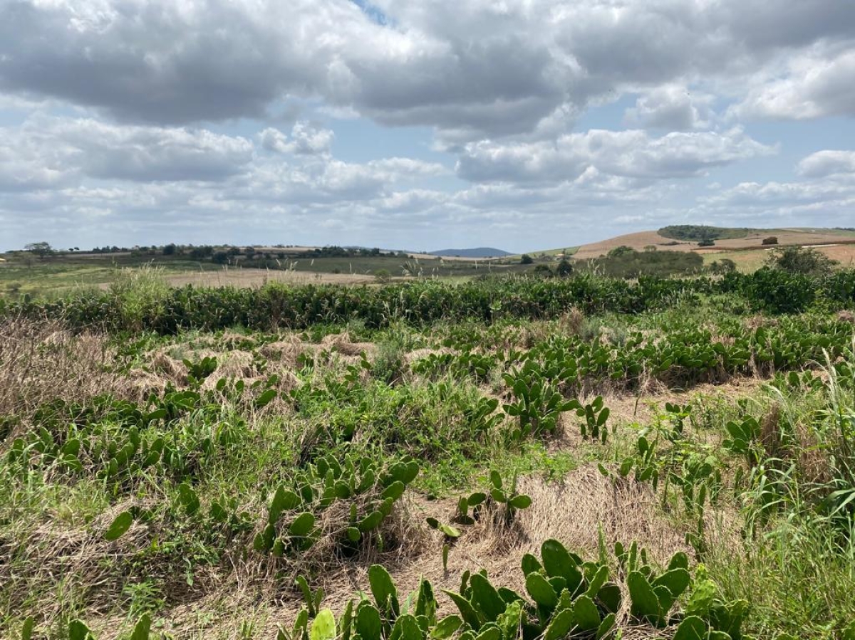 Exclusão de sete municípios sergipanos da região do semiárido preocupa Faese e traz prejuízos aos produtores rurais (Foto: Faese)