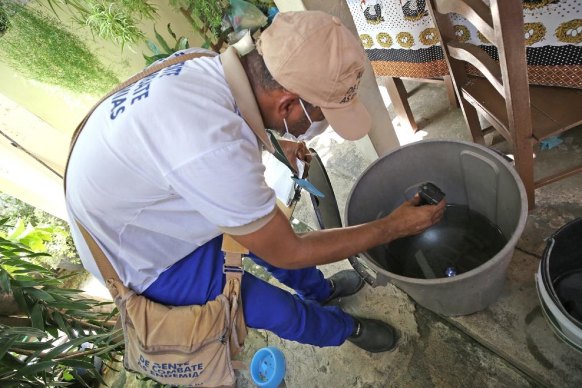 Saiba as principais doenças transmitidas pelo Aedes aegypti e como tratá-las - Foto: Sérgio Silva | Prefeitura de Aracaju