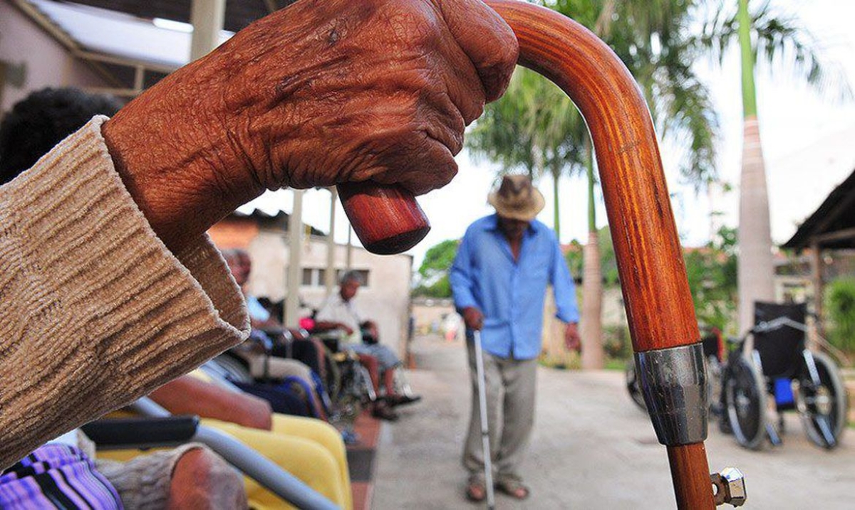 Sancionada lei que permite a entidades arrecadar dinheiro com títulos - Foto: Tony Winston | Agência Brasília