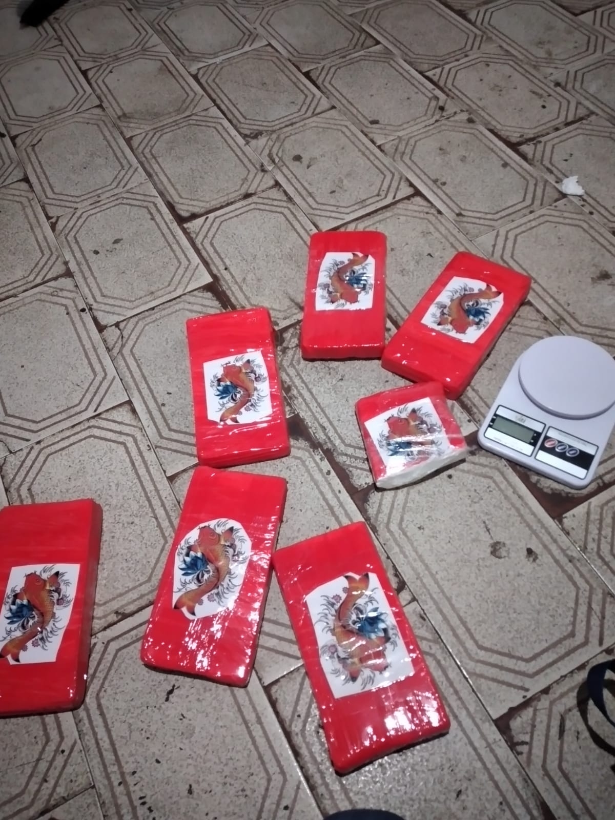 Polícia apreende mais de 6kg de cocaína na Zona Norte de Aracaju - Foto: SSP/SE