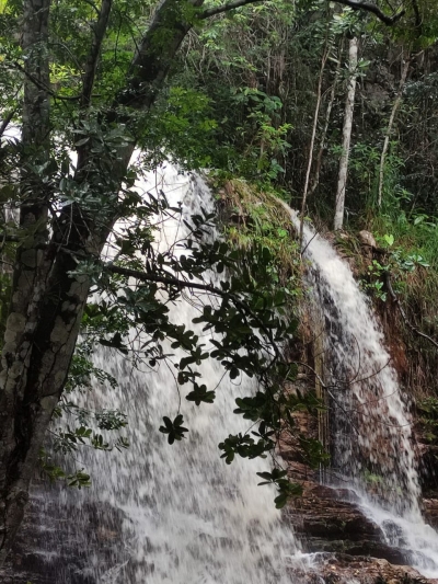 Serra de Itabaiana preserva Mata Atlântica e centenas de espécies de animais - Foto: Asscom Unit