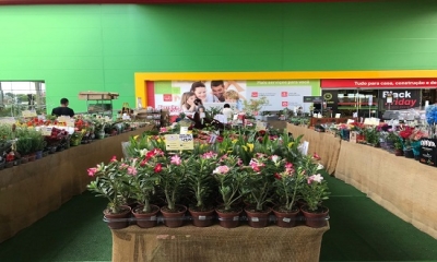 Serão mais de 200 espécies de plantas e flores ornamentais - Foto: Ascom Ferreira Costa