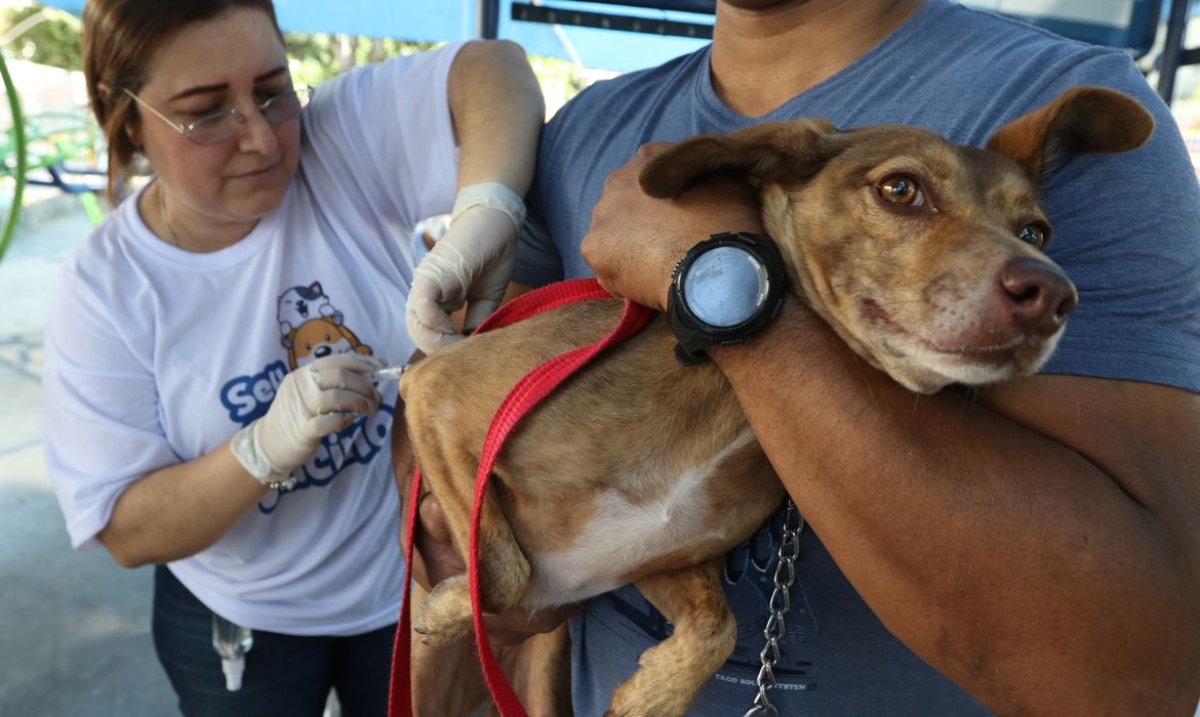 Agência Brasil explica importância de vacina para prevenção da raiva - Foto: Tânia Rêgo | Agência Brasil