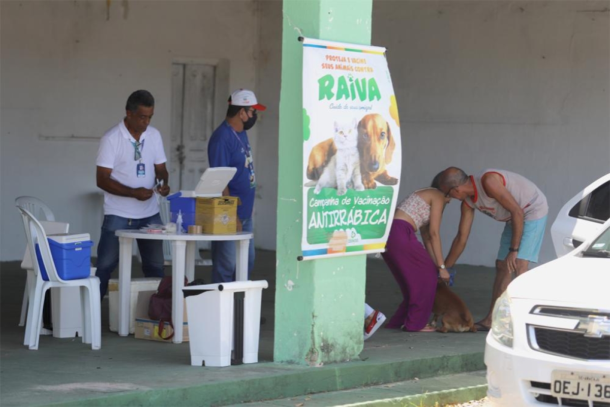 Antirrábica: Drive Tudo Pet segue até esta quinta-feira, 27/10 - Foto: Sergio Silva | Prefeitura de Aracaju