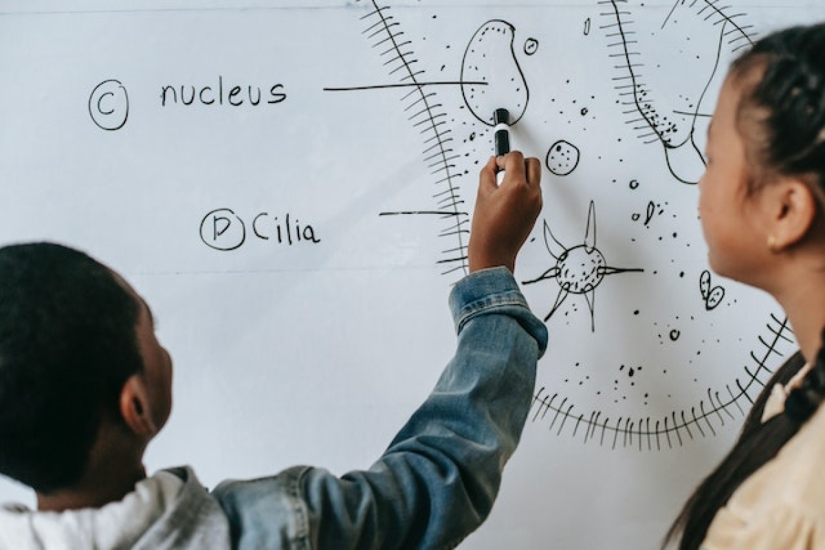 Ciências biológicas: qual a importância do seu ensino - Foto: Pexels