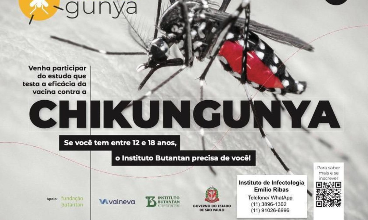 Emílio Ribas recruta voluntários adolescentes para teste de vacina contra chikungunya - Foto: Divulgação | Instituto de Infectologia Emílio Ribas