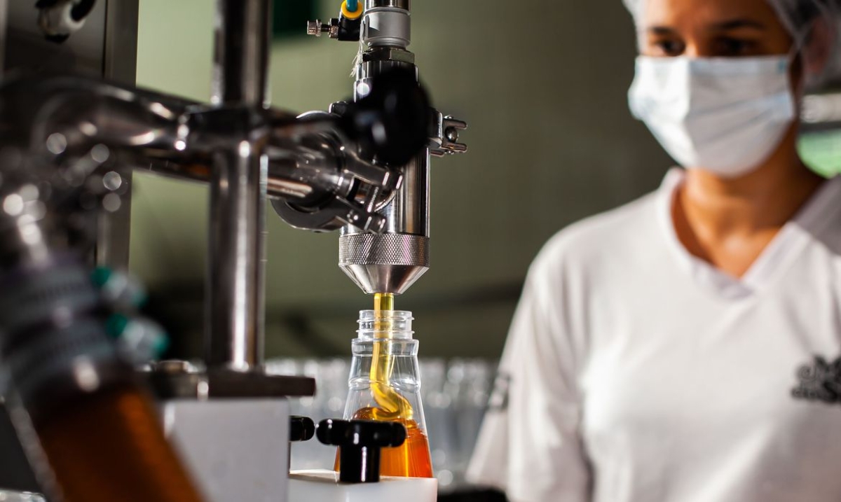 Produção de mel - Foto: Wenderson Araujo | Trilux