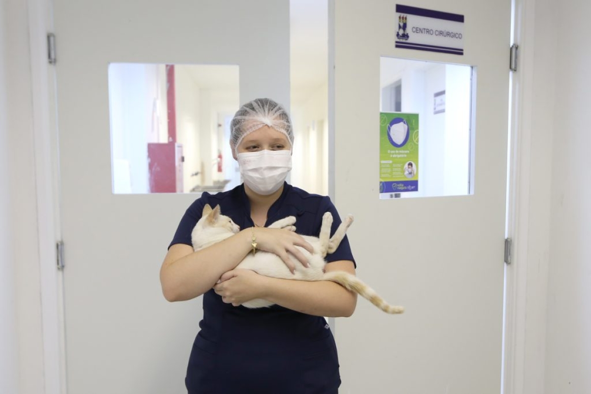 O programa Aju Animal vai revolucionar a participação do poder público na proteção animal - Foto: Marcelle Cristinne | Prefeitura de Aracaju O programa Aju Animal vai revolucionar a participação do poder público na proteção animal - Foto: Marcelle Cristinne | Prefeitura de Aracaju