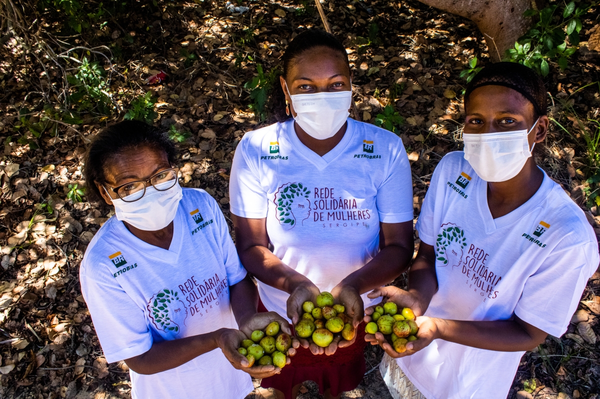 Catadoras de Mangaba participarão do Projeto Paisagens Alimentares da Embrapa/AL - Foto: Assessoria Projeto Rede Solidária de Mulheres