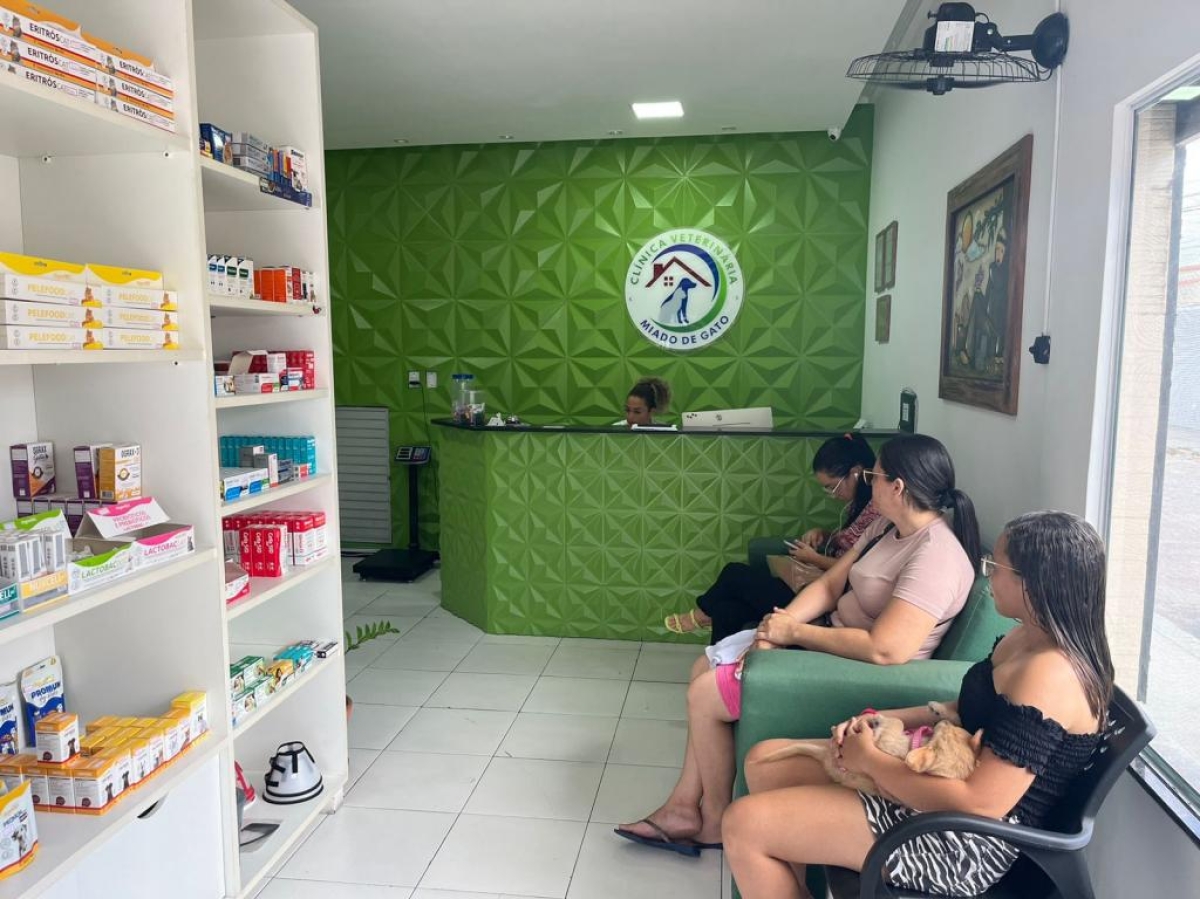 Cadastro para castração de animais está temporariamente suspenso - Foto: Ascom SMS Aracaju