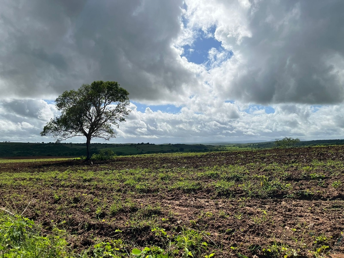 Faese apela para que Governo de Sergipe intensifique ações de combate à invasão de propriedades - Foto: Faese