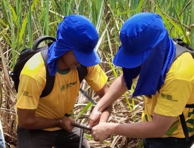 Senar Sergipe abre inscrições para empresas rurais atenderem à Lei da Aprendizagem - Foto: Senar/SE