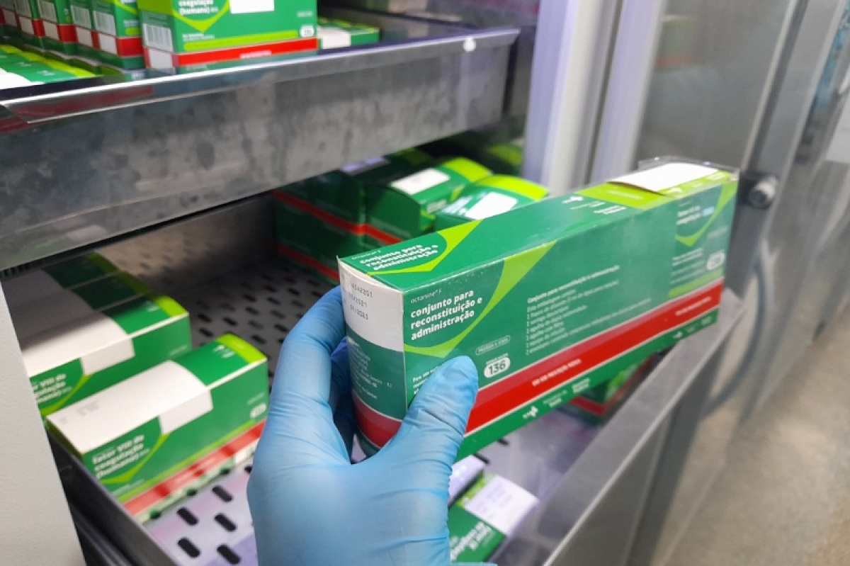 Hemose busca conscientização para diagnóstico e tratamento da hemofilia - Foto: SES/SE Hemose busca conscientização para diagnóstico e tratamento da hemofilia - Foto: SES/SE