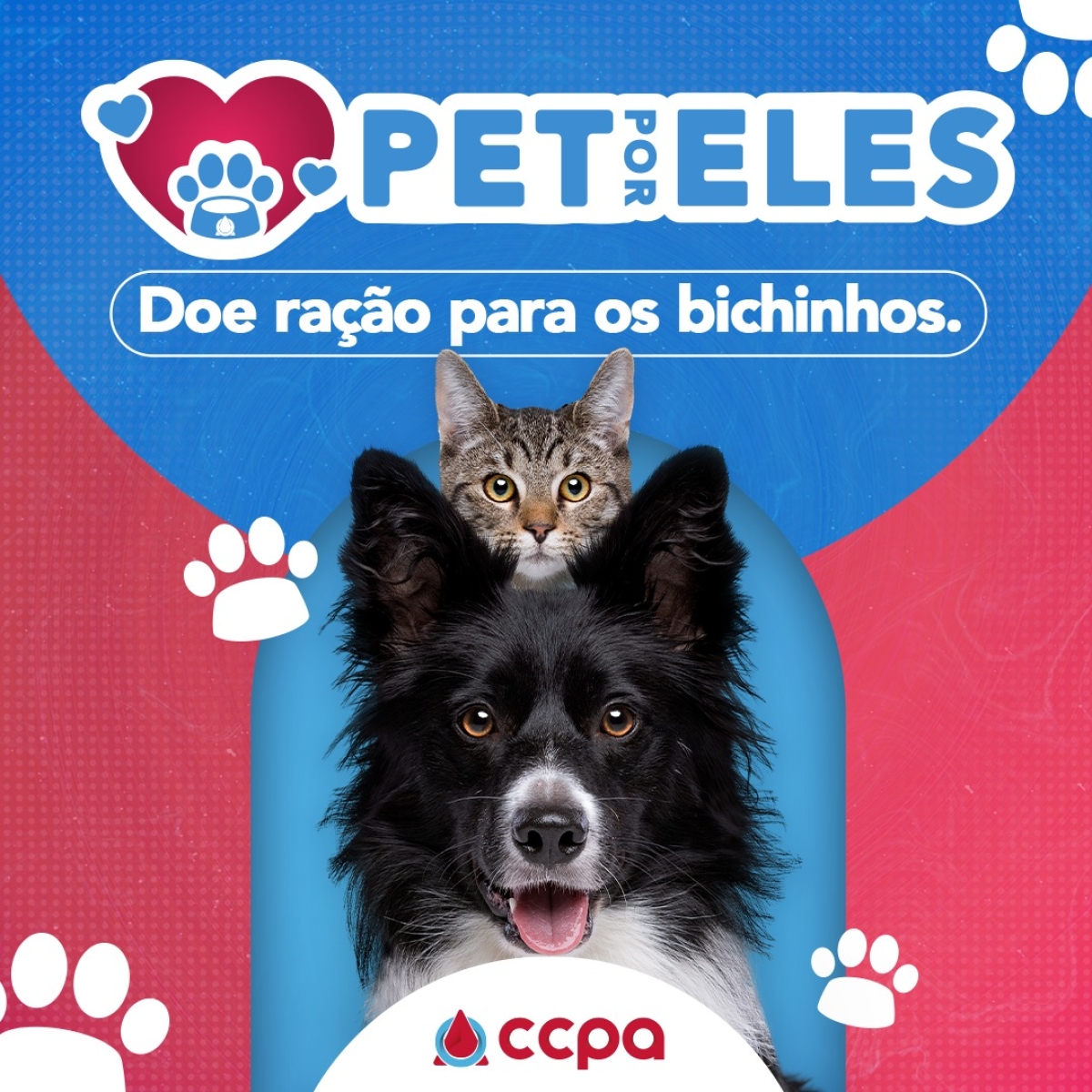 Pet por Eles - Imagem: Divulgação
