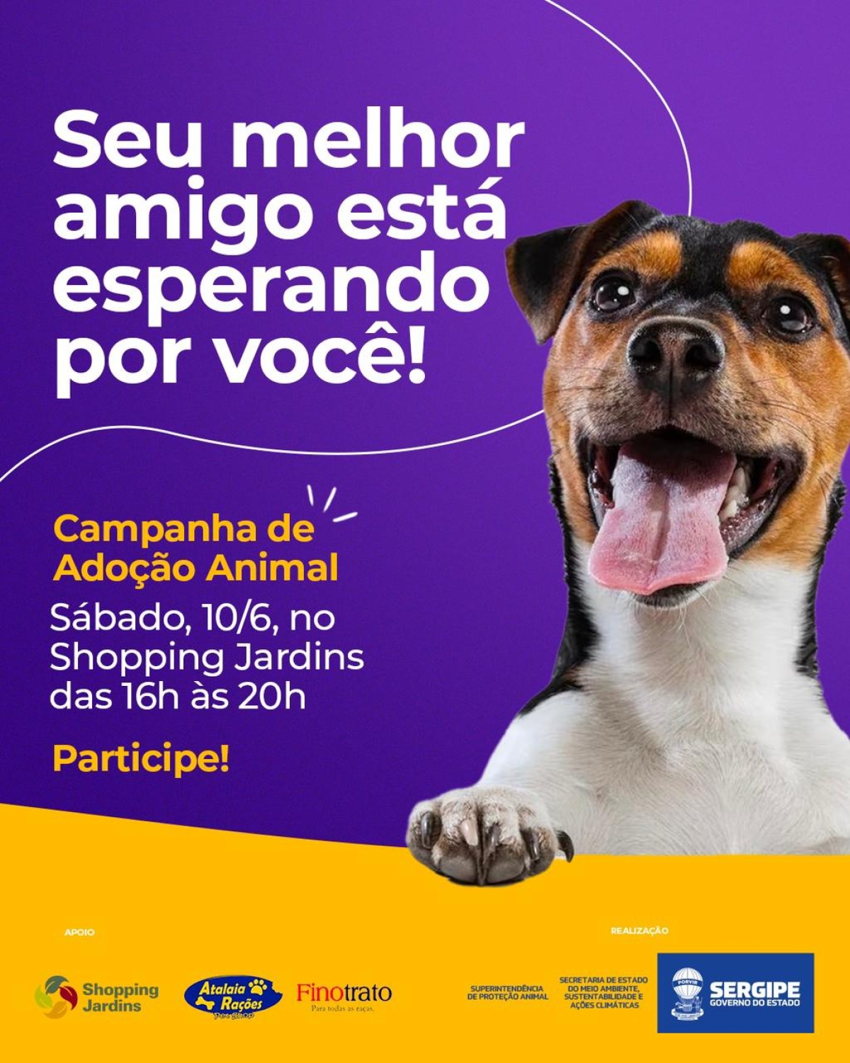 Primeira Campanha de Adoção Animal da Semac acontece neste sábado, 10/6 - Imagem: Divulgação