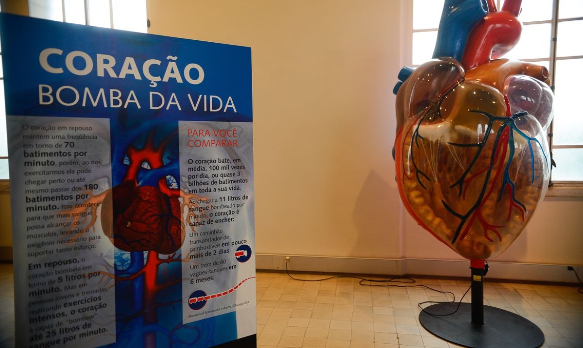 Rio de Janeiro - Exposição Vias do Coração, no Museu da Vida (castelo da Fiocruz), divulga o conhecimento cardíaco como forma de estimular a prevenção das doenças cardiovasculares - Foto: Tomaz Silva | Agência Brasil