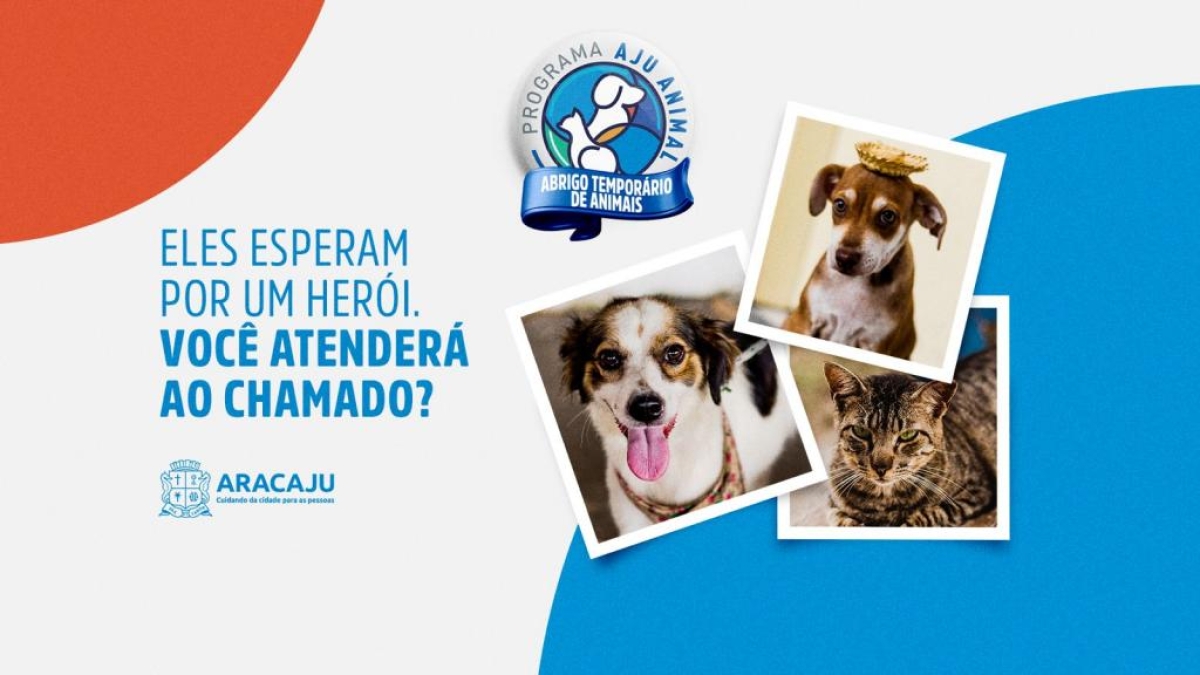 Prefeitura promove campanha de incentivo a abrigo temporário de cães e gatos em Aracaju - Arte: Secom | PMA Prefeitura promove campanha de incentivo a abrigo temporário de cães e gatos em Aracaju - Arte: Secom | PMA