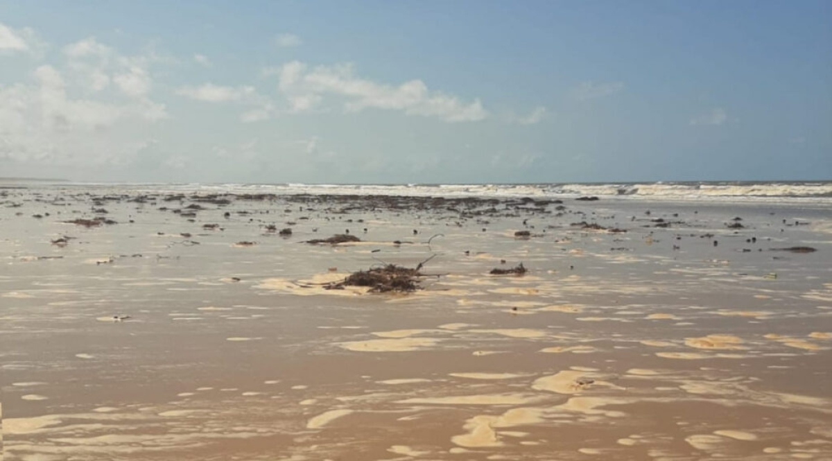 O material orgânico não afeta a balneabilidade das praias - Foto: Ascom Adema SE