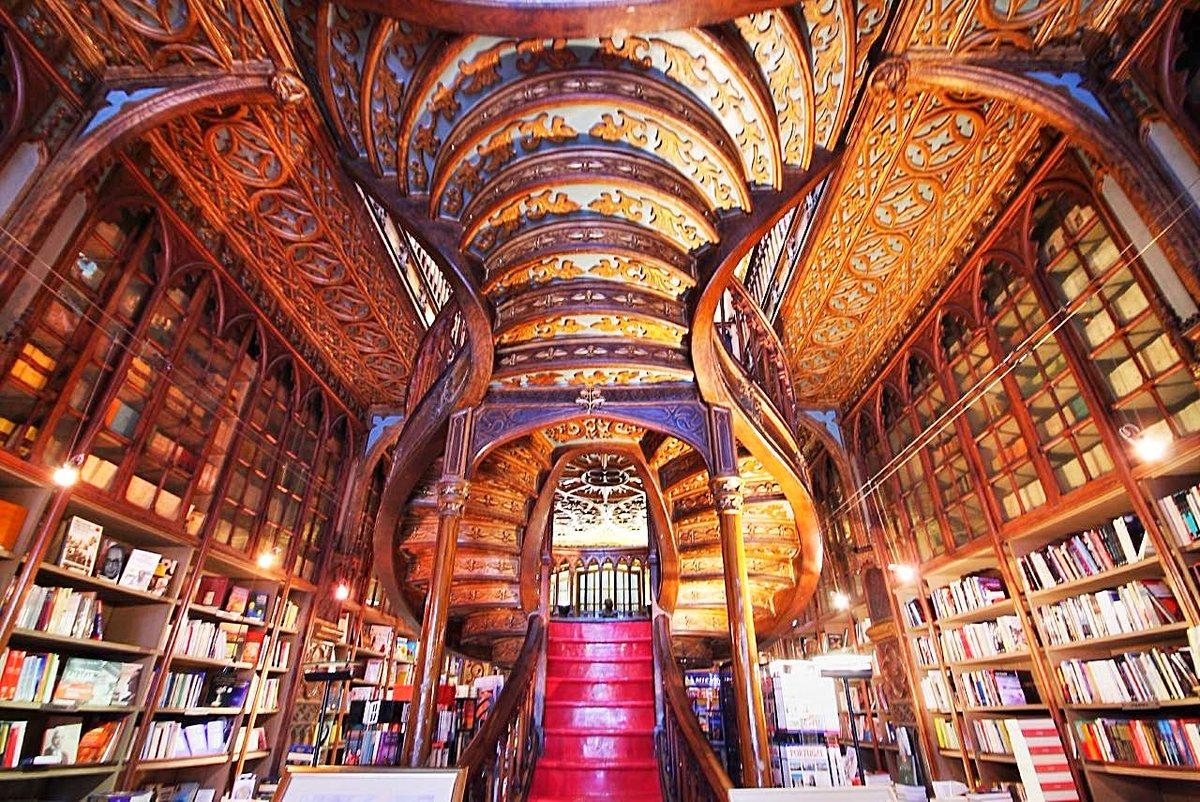 A Livraria Lelo inspirou os cenários de Harry Potter? Confira o texto e descubra - Foto: Carla Passos | Passos Pelo Mundo | F5 News