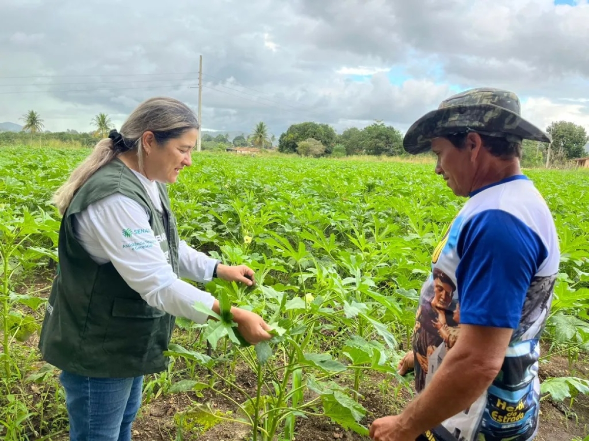 Produtores da olericultura planejam a produção com ajuda da ATeG para atender o PAA - Foto: Senar/SE