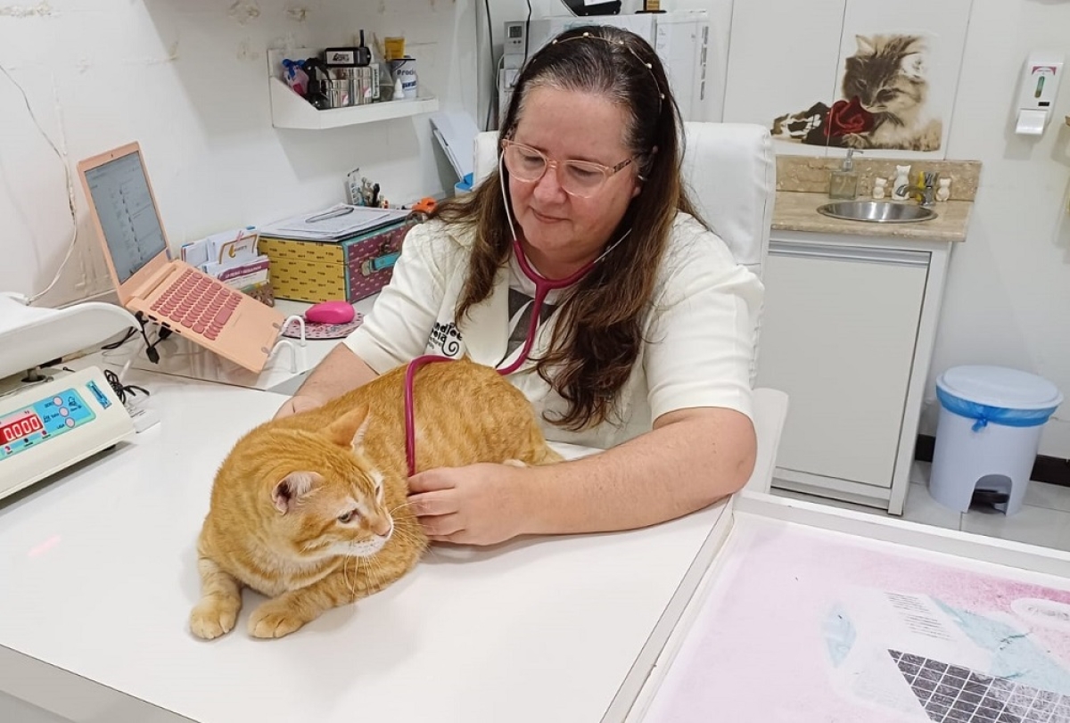 Setembro Vermelho: felinos também podem ser acometidos por problemas cardíacos - Foto: NV Comunicação