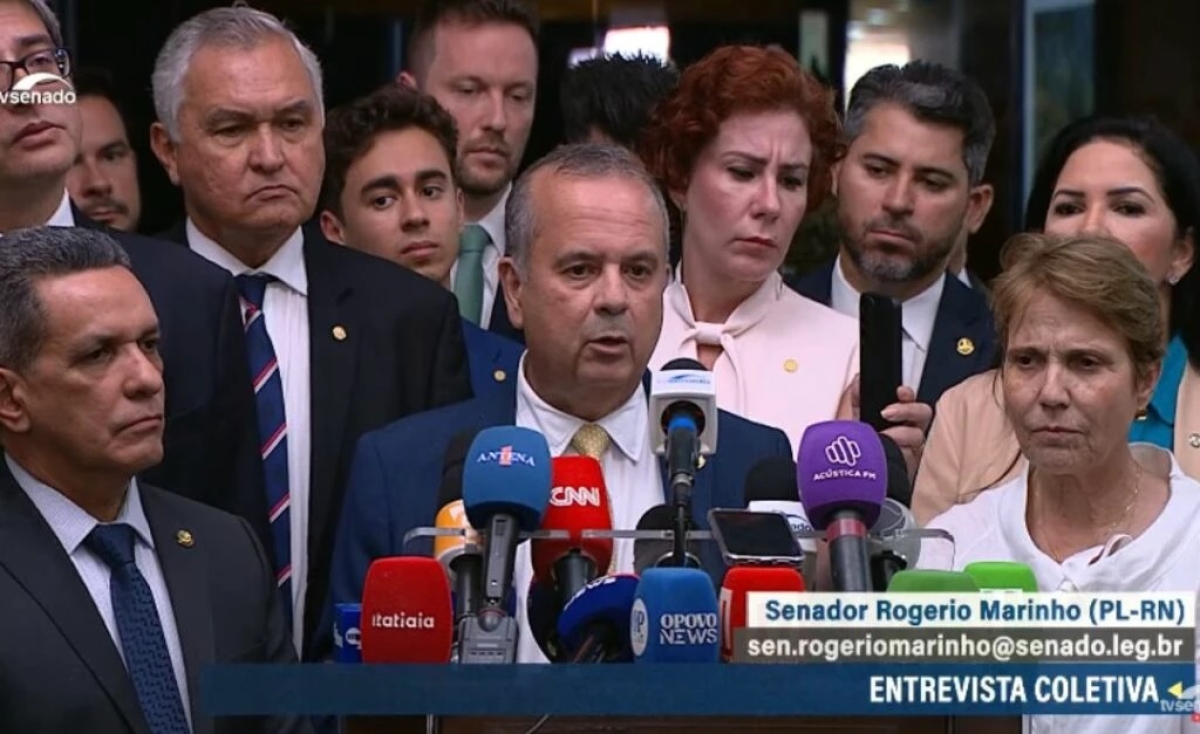 Senador Rogério Marinho - Imagem: Reprodução | YouTube | TV Senado