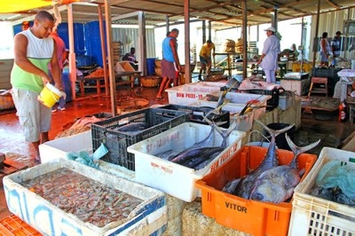 MPF requer imediato funcionamento do novo Terminal Pesqueiro de Aracaju para garantir saúde da população - Foto: Governo de Sergipe