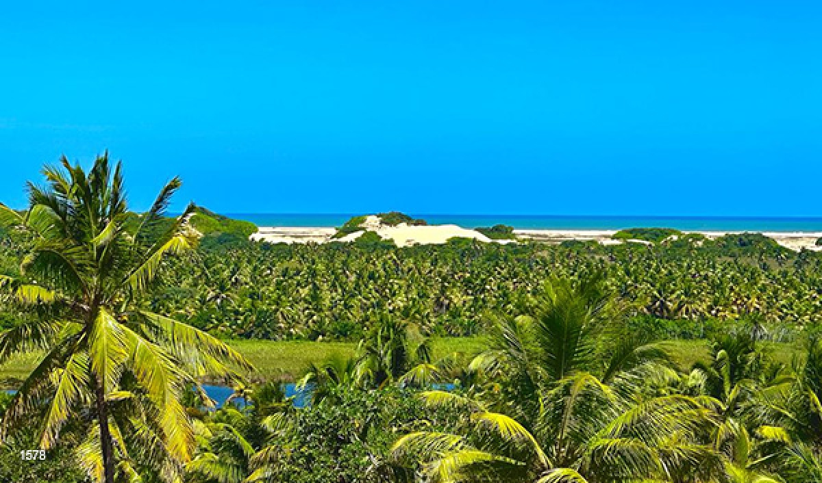 O Mirante do Robalo - Foto: Existe Um Lugar no Mundo