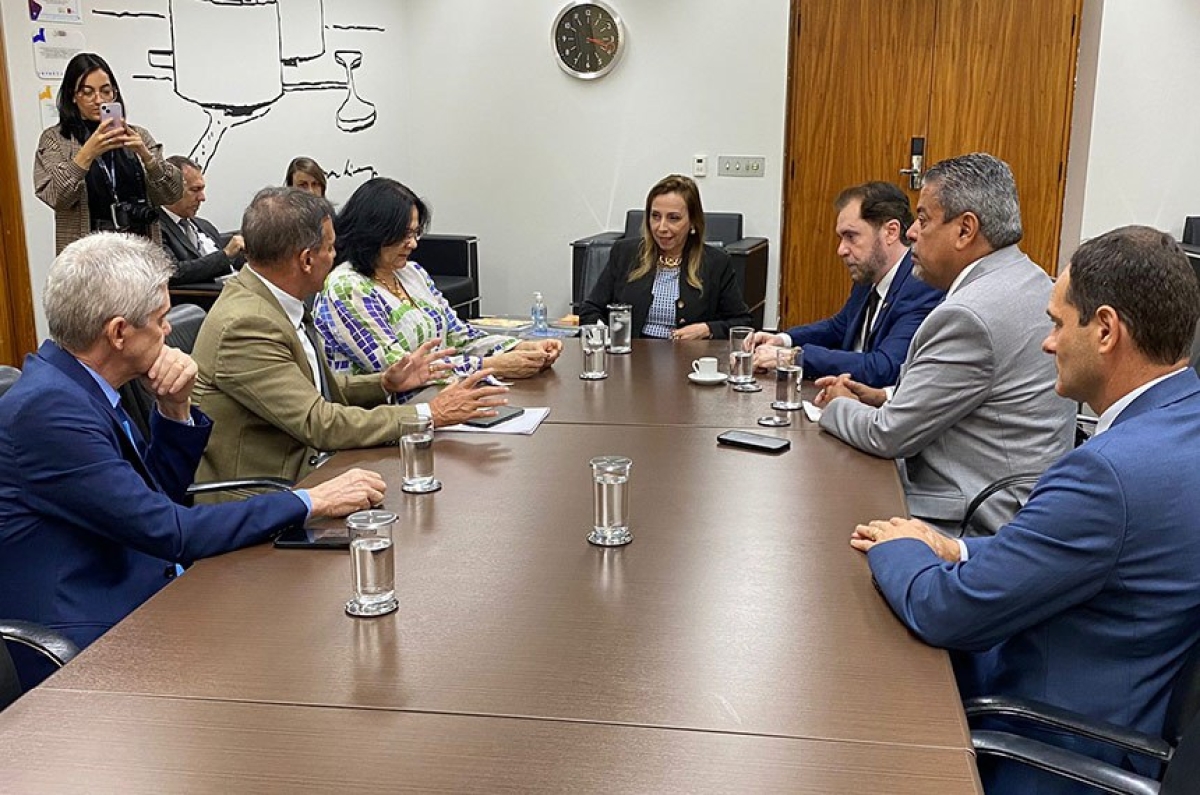 Integrantes da CPI das ONGs entrega representação contra o ICMBio à PGR - Foto: Gabinete do senador Plínio Valério