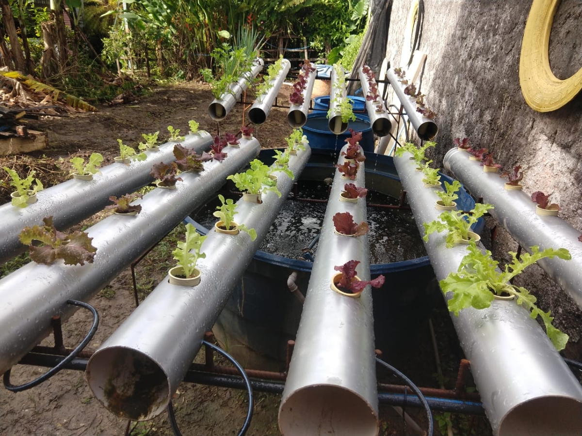 Senar Sergipe abre inscrições para cursos gratuitos e on-line em avicultura, carcinicultura, tecnologia em máquinas agrícolas e drones - Foto: Senar Sergipe