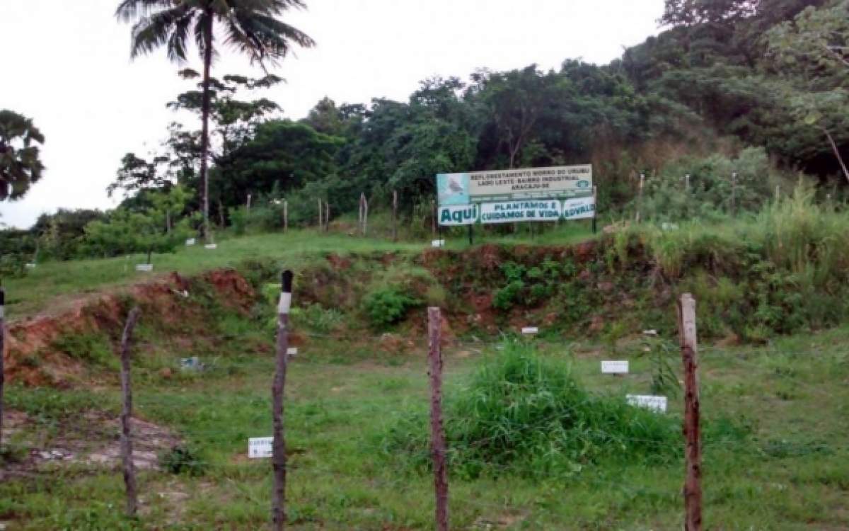 Ação Civil Pública busca impedir ocupação irregular no Morro do Urubu - Foto: F5 News
