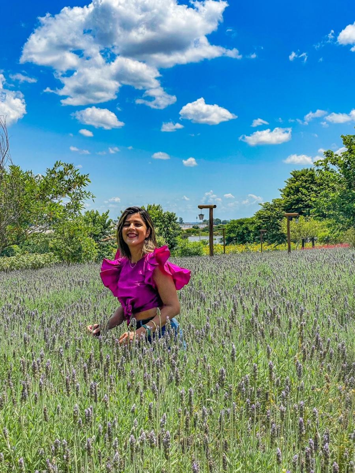 Por lá tem também campos de lavanda - Foto: Turismo Holambra