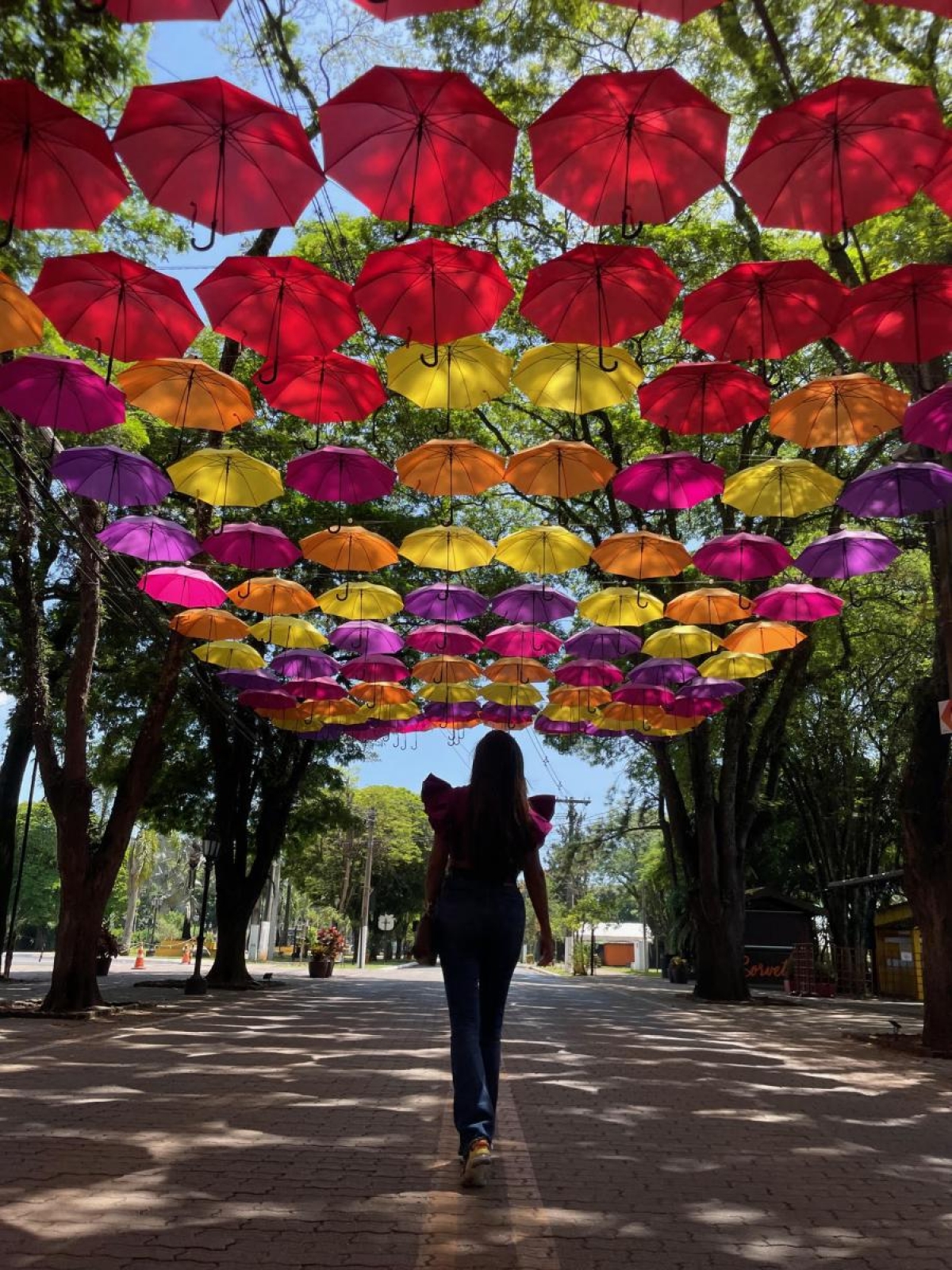 A rua dos guarda-chuvas é um lugar também muito instagramável - Foto: Turismo Holambra