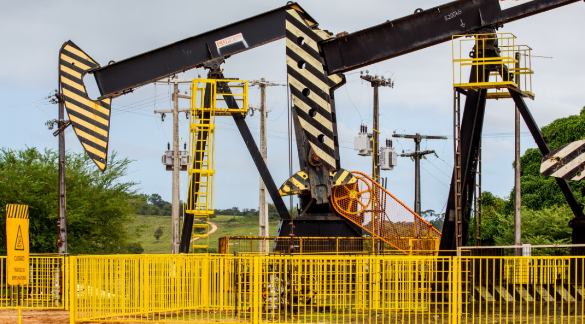 A expansão das exportações em relação ao ano anterior foi desencadeada, principalmente, pela
inclusão dos óleos brutos de petróleo na cesta de produtos vendidos pelo estado em 2023 - Foto:
Arthuro Paganini | Governo de Sergipe