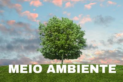 MPF ajuíza ação contra ICMBio para regularizar situação fundiária de quatro unidades de conservação em Sergipe - Imagem: MPF