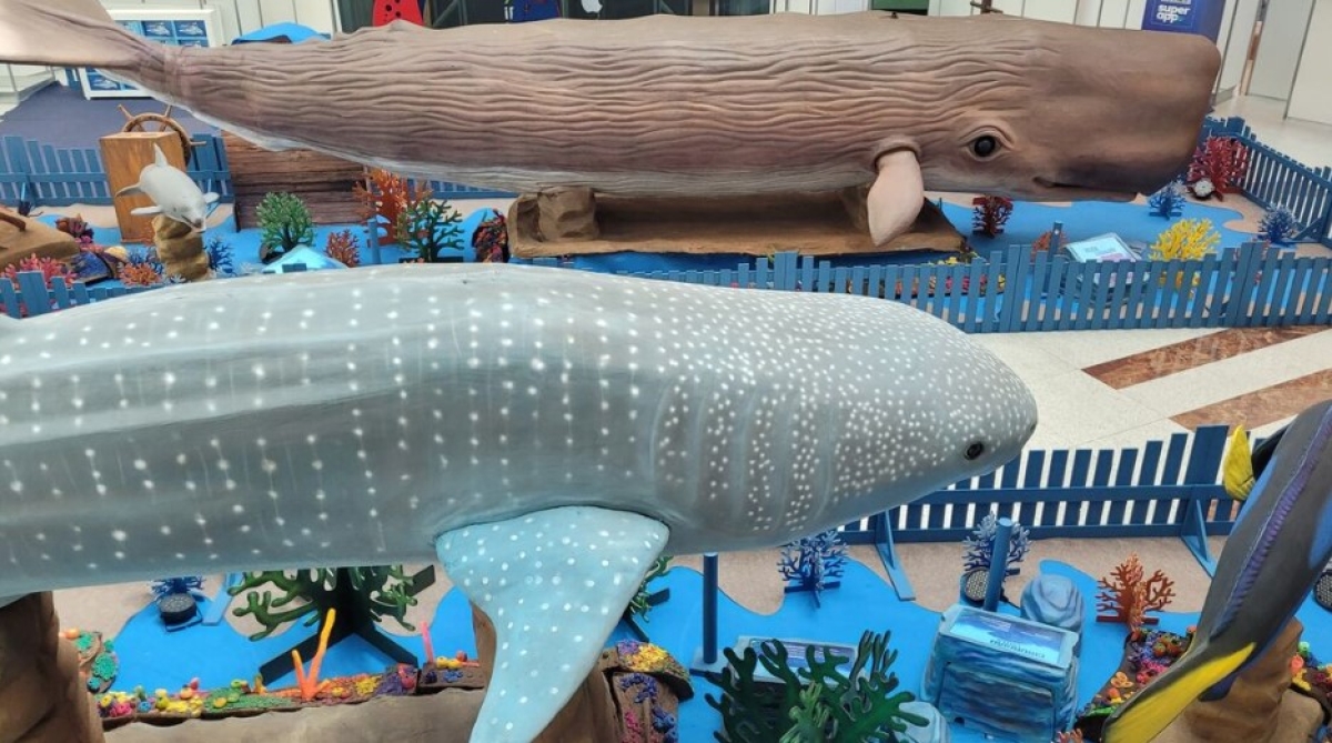 Exposição "O Fantástico Mundo Marinho" chega ao RioMar Aracaju com acesso gratuito - Foto: Divulgação Exposição "O Fantástico Mundo Marinho" chega ao RioMar Aracaju com acesso gratuito - Foto: Divulgação