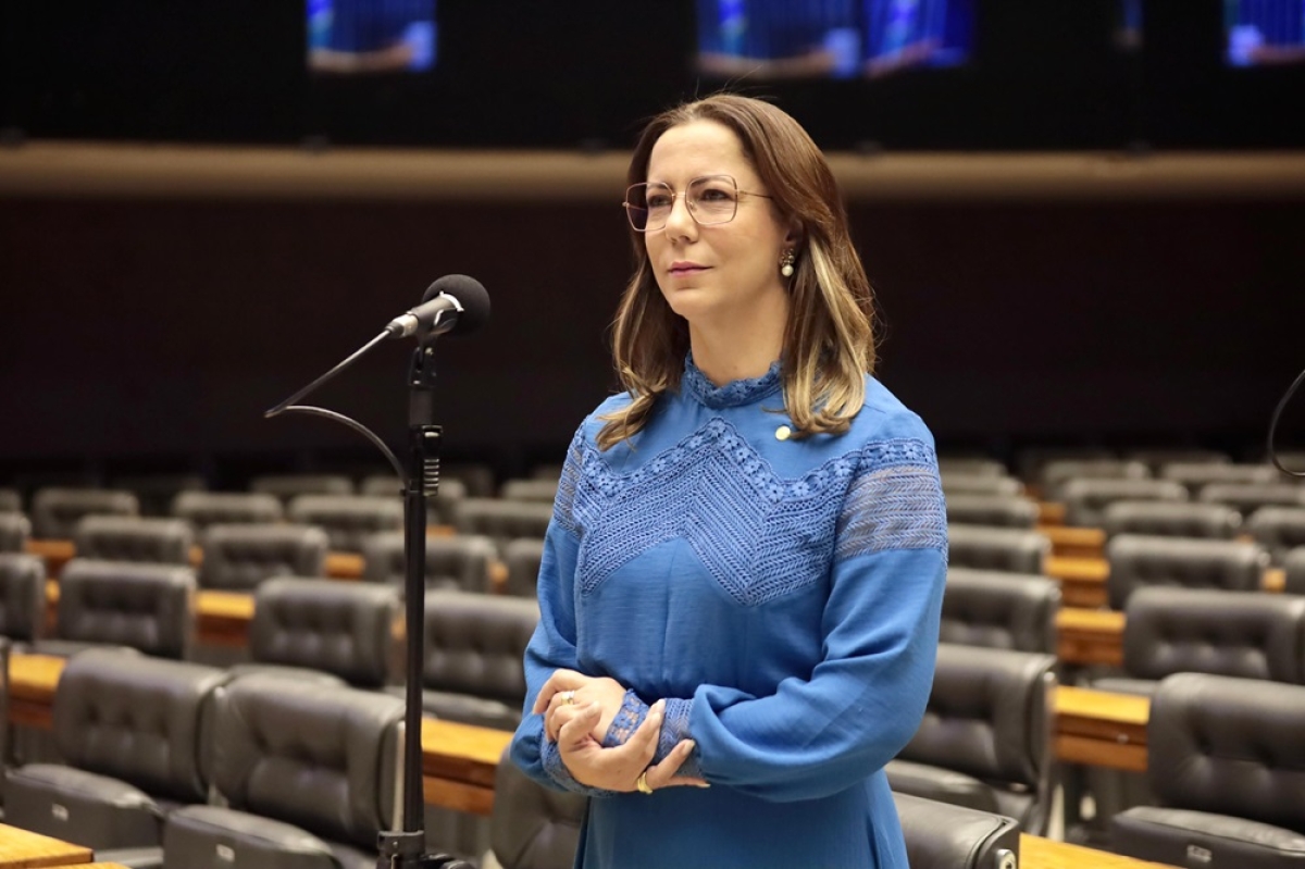 Em plenário, Delegada Katarina cobra efetivação de políticas públicas para pessoas com doenças raras - Foto: Assessoria Delegada Katarina