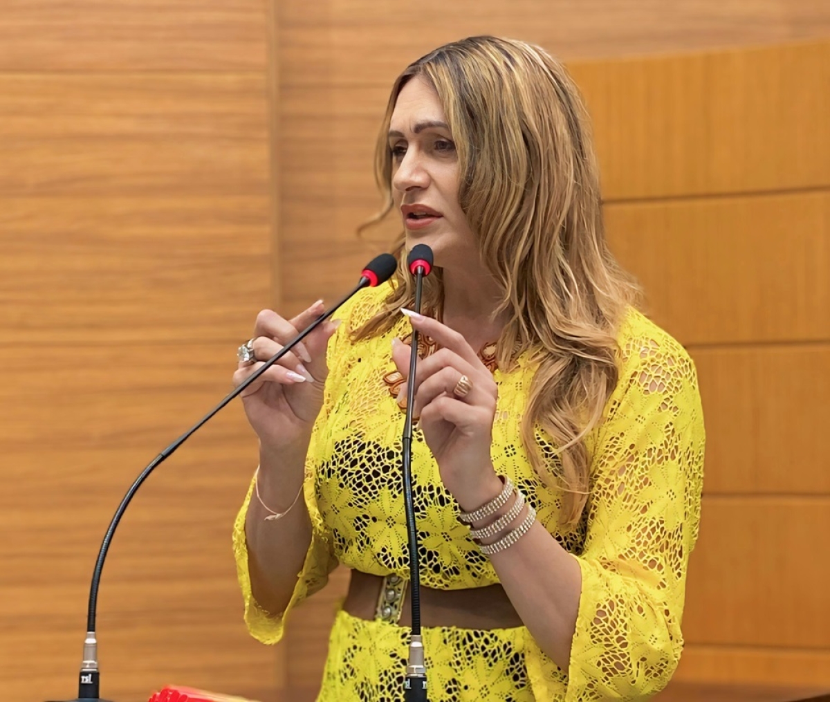 Linda Brasil demonstra preocupação com processo de instalação de câmeras dentro das escolas do município de Aracaju - Foto: Assessoria deputada estadual Linda Brasil