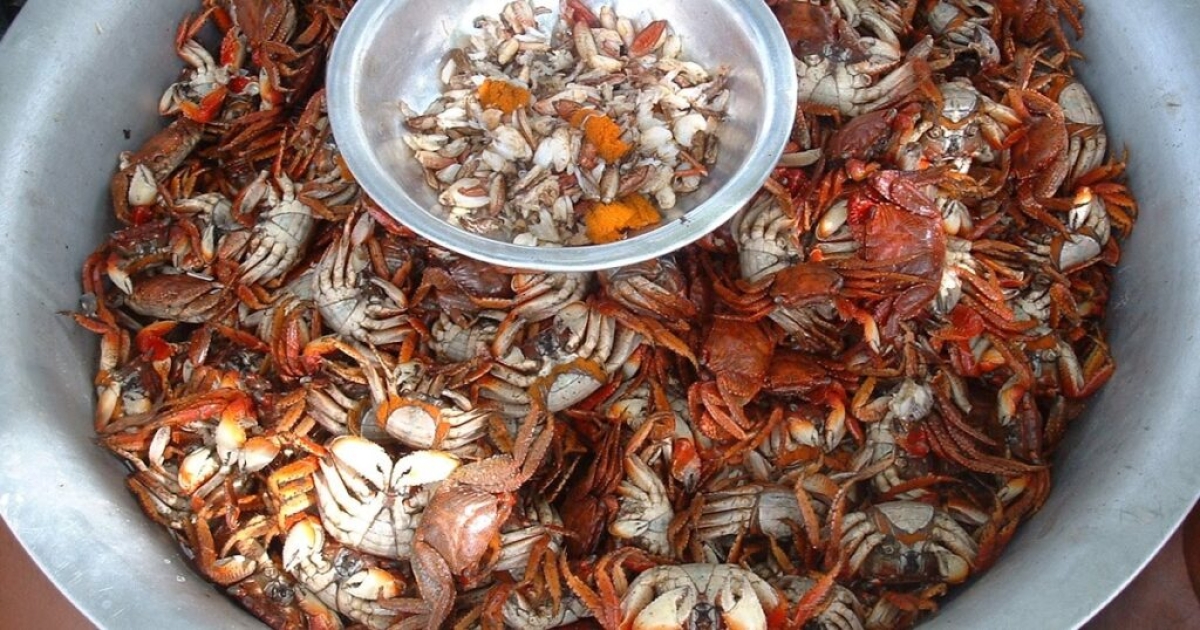 Mangue Seco, onde reina o aratu - Foto: lowfoodbrasil