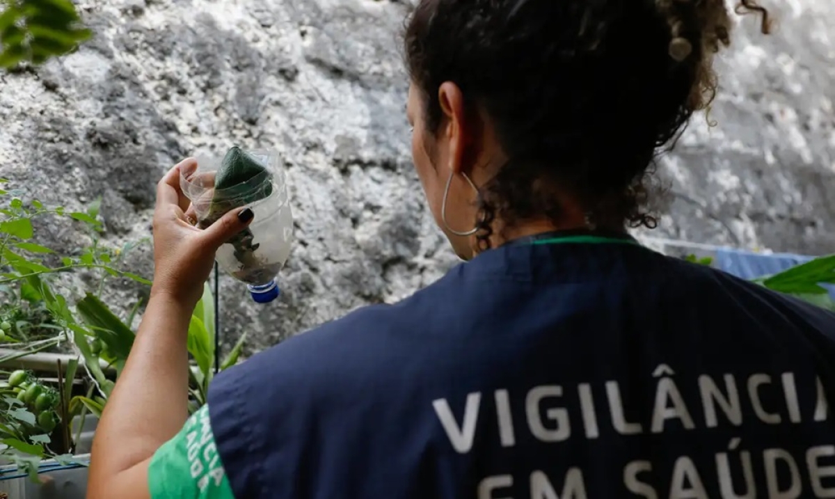 O mosquito causador da dengue se prolifera através da água que esteja parada em qualquer local, independentemente de ela estar limpa ou não - Foto: Fernando Frazão/Agência Brasil