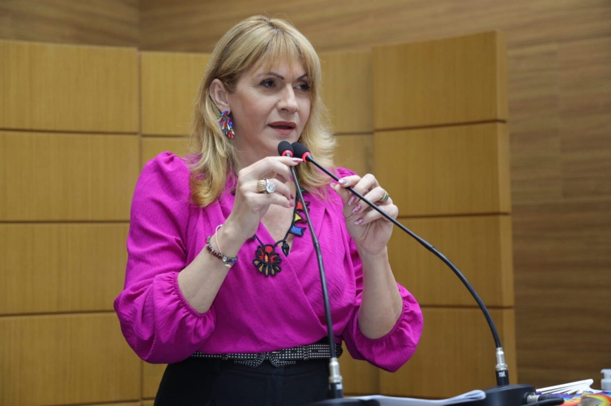  Deputada Linda Brasil - Foto: Jadilson Simões/Agência de Notícias Alese
