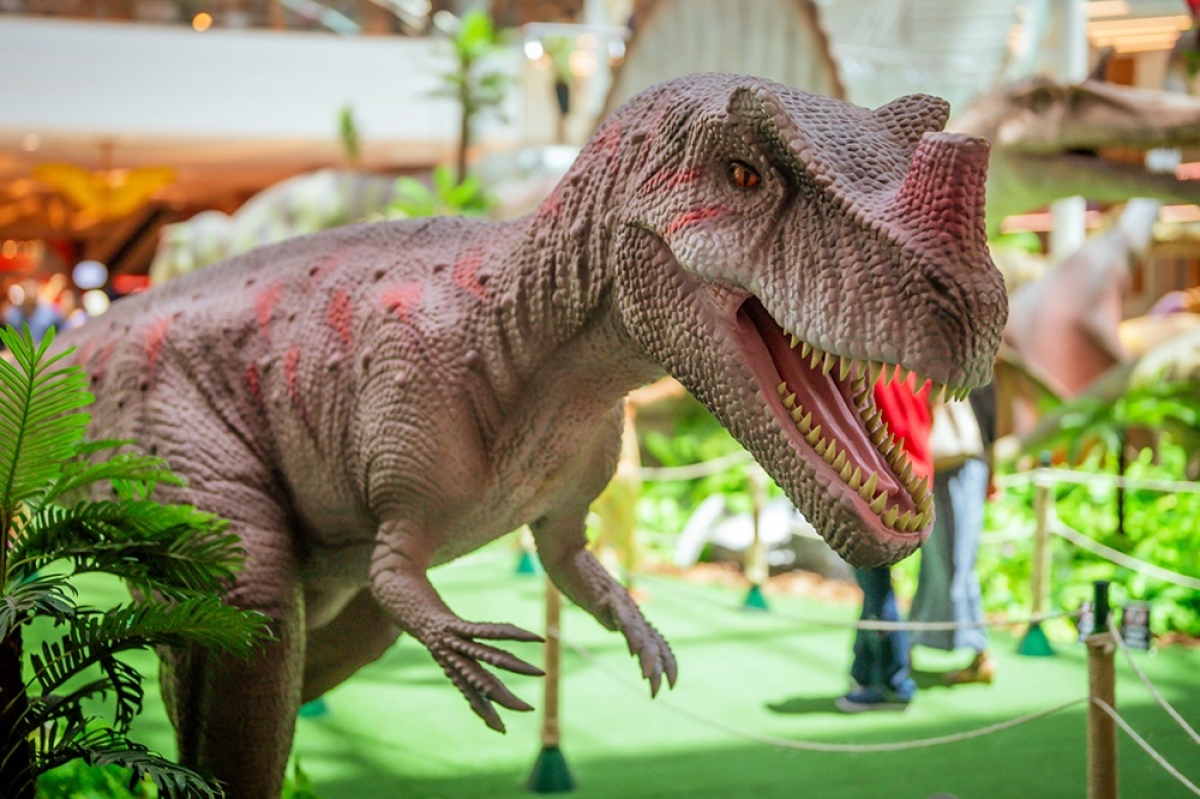 A maior exposição de dinossauros da América Latina chega a Aracaju nesta segunda-feira, 9 de setembro - Foto: Roberto Abreu
