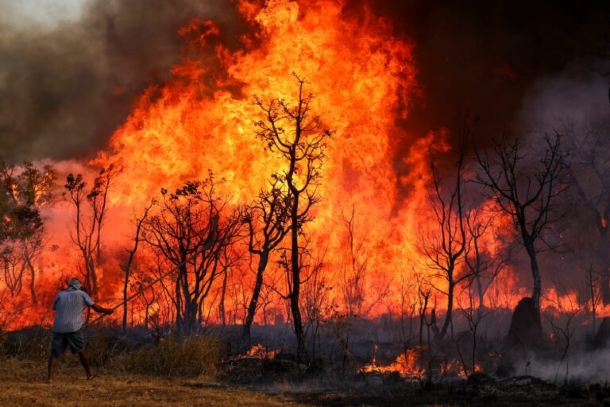 Incêndio no parque Nacional em Brasília (DF) - Foto: Fabio Rodrigues-Pozzebom/Agência Brasil
