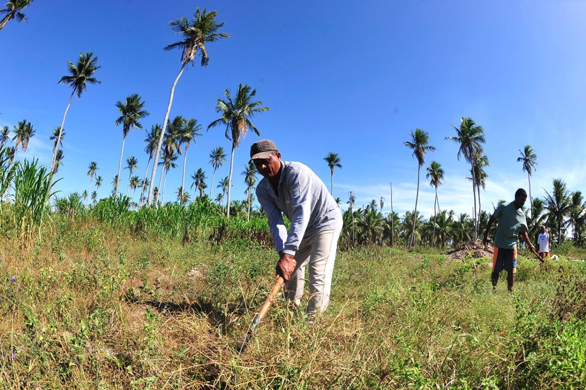 Plano Safra contempla produtor rural sergipano com R$ 219 milhes (Foto: Arquivo ASN)